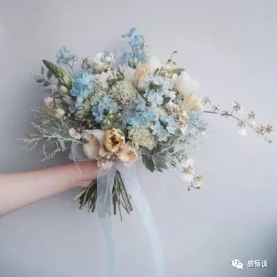 皮克猫公园中文版下载