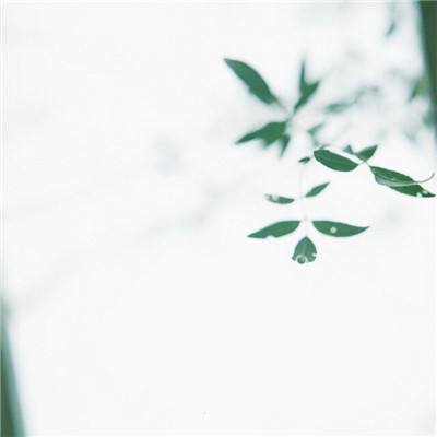 星期六魔王公益服下载